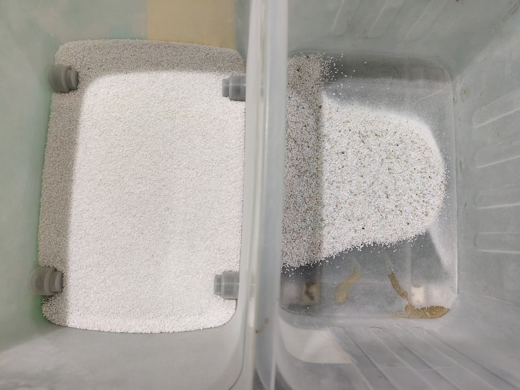 Edelstahl-Hoppern Nass Salzfarb Sortiermaschine mit vollständiger Ccd-Kamera