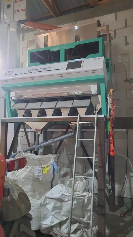 Multifunktionskorn klebriges Reis Pfeffer Samen Farbsorter Farbsortierer Kaffee