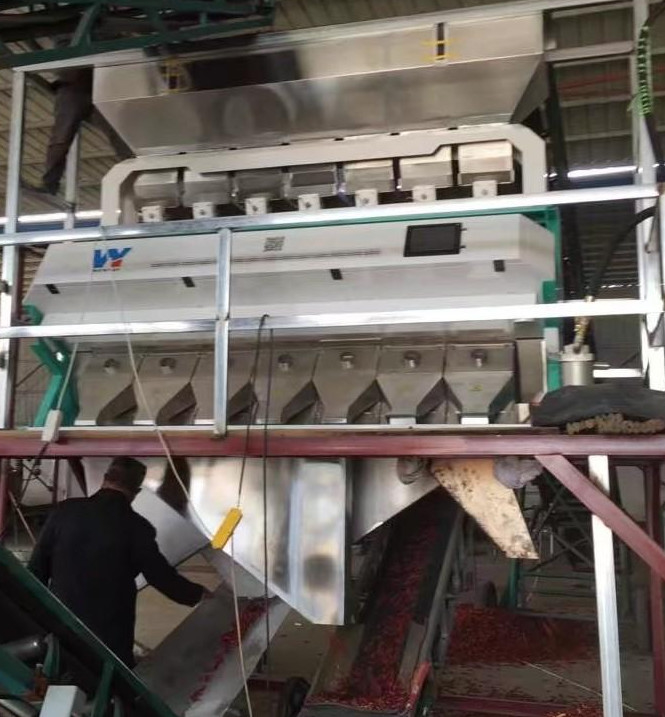 Intelligenter Farbsorter CCD-Kamera Farbsorter Rosinenfarbsortiermaschine