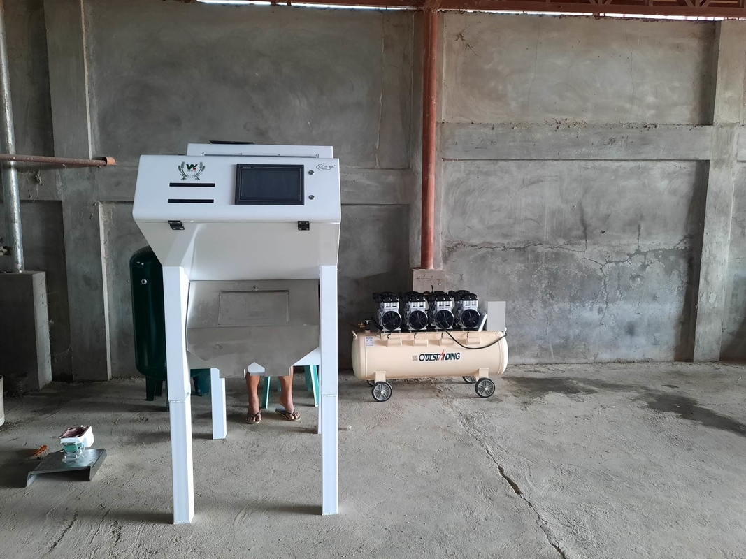 Wenyao Professionelle Cashew-Nuss Farbsortiermaschine Farbsorter für Nusstrennung