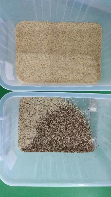 Wenyao 500-1500 kg/h Kaffeebohnen Reis Garin Farbe Optische Sortierung Getreide Farbe Sortiermaschine