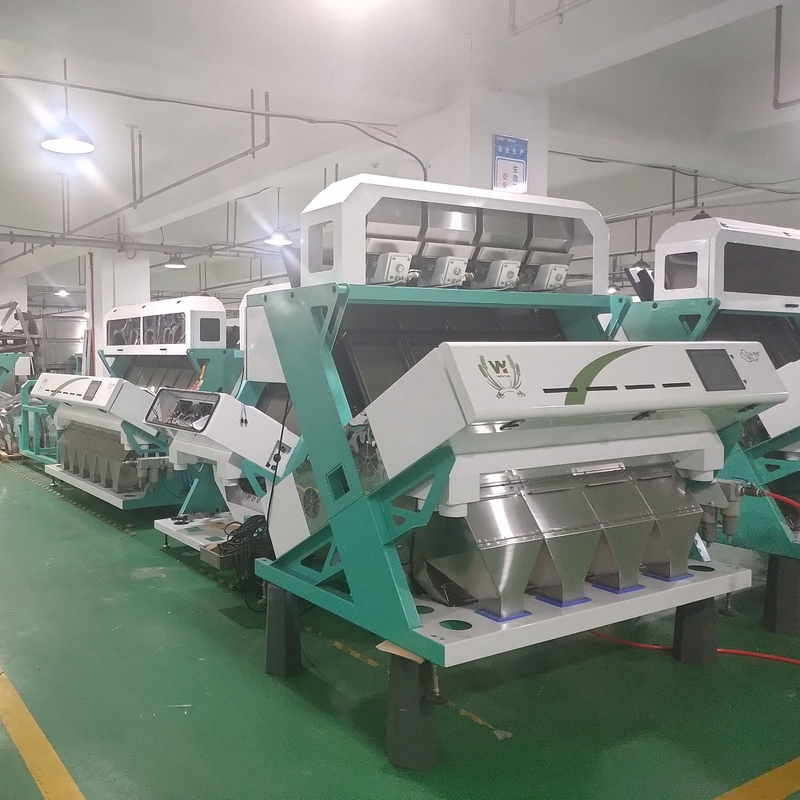 Wenyao Automatischer Haselnussfarbsorter Multifunktions-Nussfarbsortiermaschine