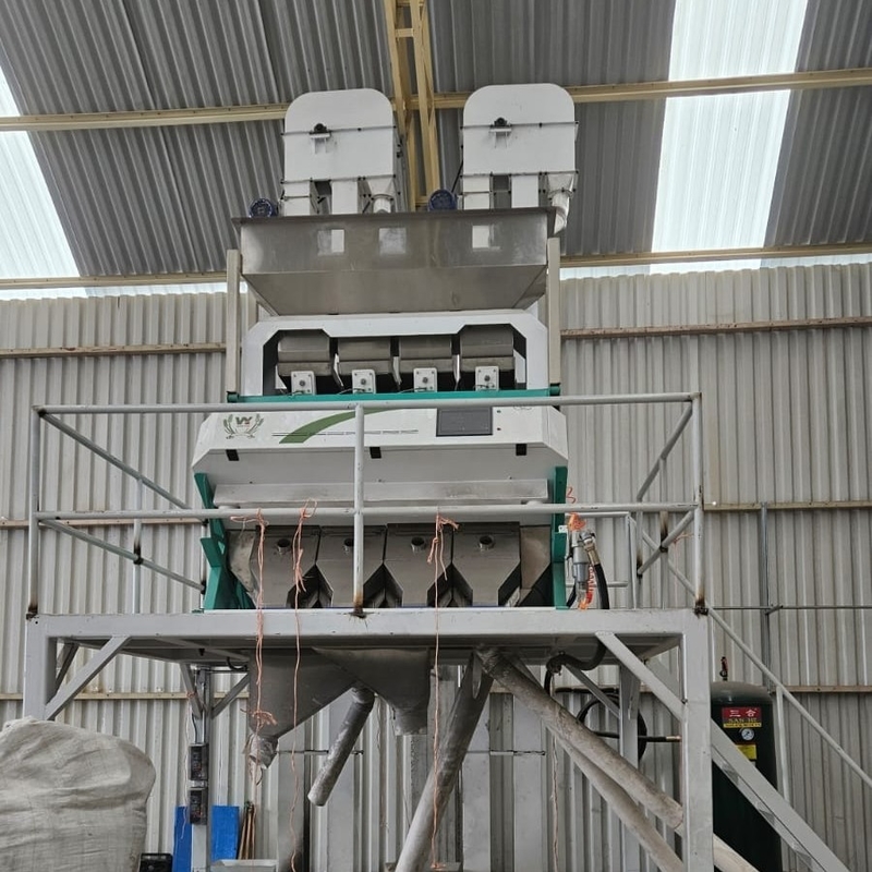 Wenyao Automatischer Haselnussfarbsorter Multifunktions-Nussfarbsortiermaschine