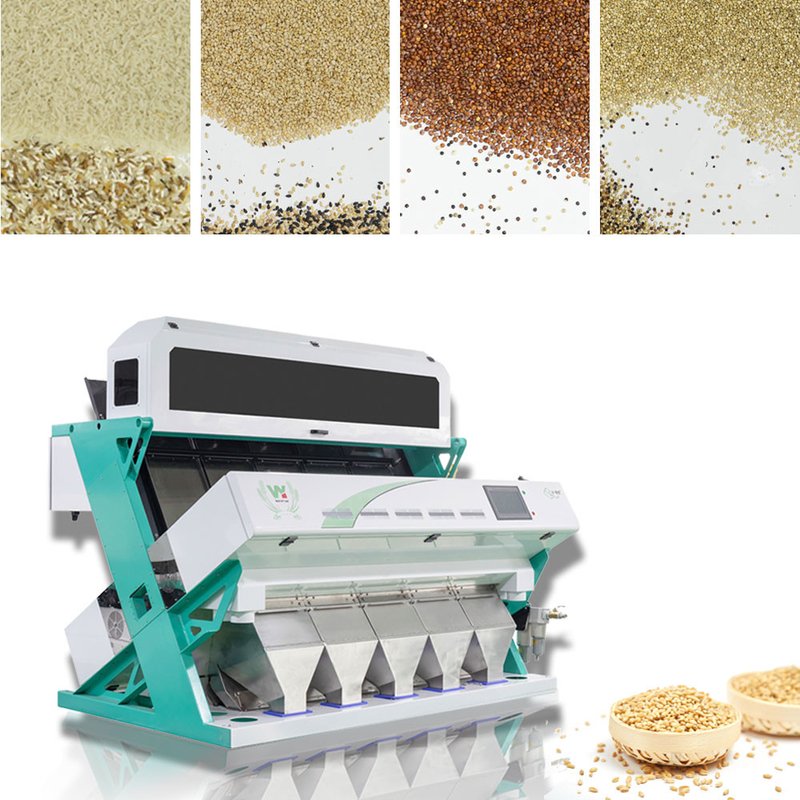 Wenyao 5 Chute Farbsortiermaschine Intelligenter Sesamfarbsorter