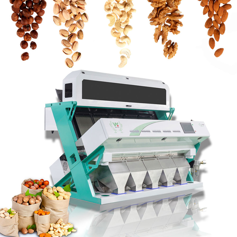 Wenyao Haselnuss Farbsortiermaschine Intelligente Nüsse Farbsorter Ausrüstung