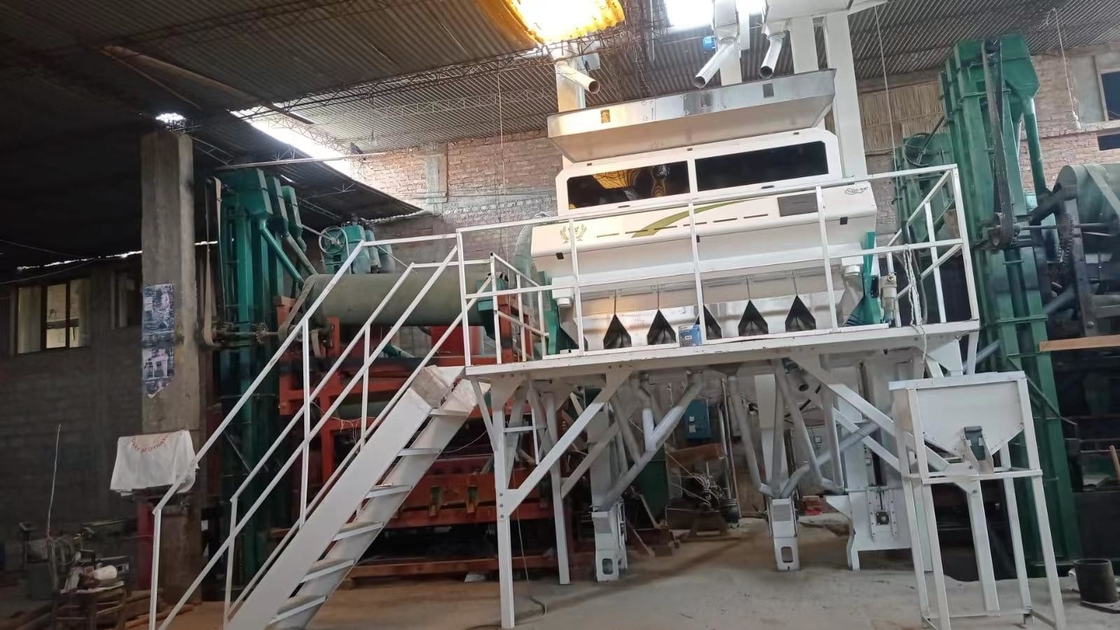 Wenyao Intelligente CCD-Kamera Fallschirmstil Farbsorter Weizen Farbsortiermaschine