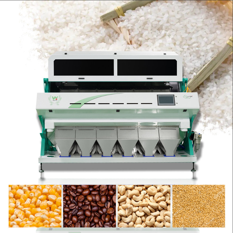 Wenyao automatischer Farbsorter Kaffeebohnenfarbsortiermaschine