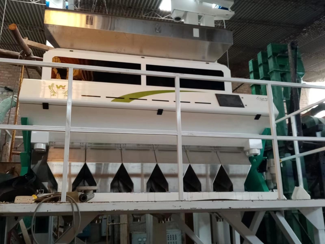 Wenyao Intelligente Farbsortierer Chickpea Farbsortiermaschine