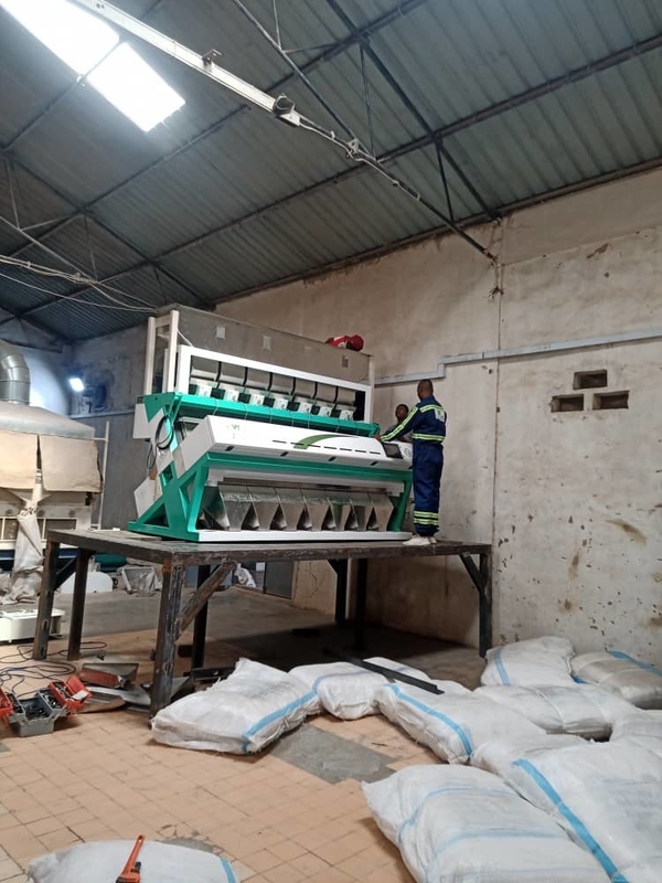 Wenyao 7 Chute Chinesischer Hersteller Farbsortiermaschine Chickpea Farbsorter
