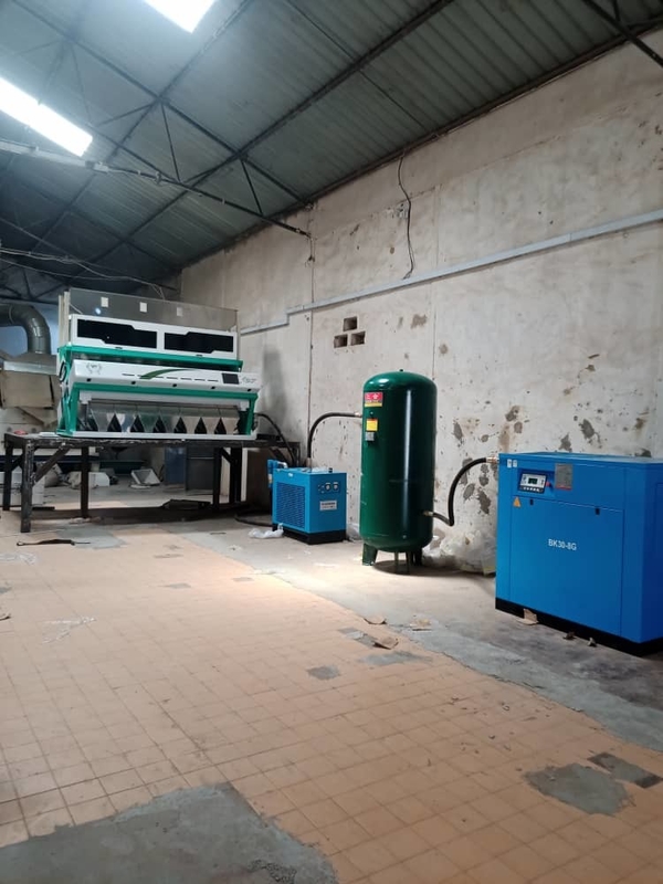Wenyao Haselnuss Farbsorter Nüsse Farbsortiermaschine