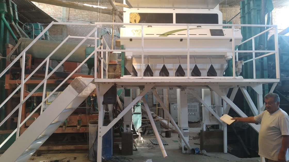 Wenyao CCD-Kamera Intelligenter Farbsorter Rosinenfarbsortiermaschine