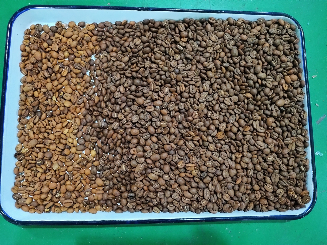 Wenyao Chute-Stil große Sortierung Genauigkeit Farbsortiermaschine Kaffeebohnen Farbsorter