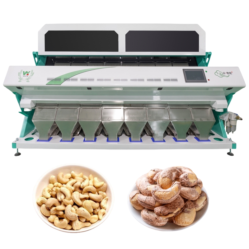 Cashew-Nuss-Farb-Sortiermaschine CCD-Kamera Intelligenter Farbsorter für Nüsse