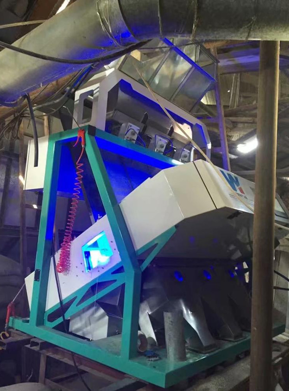 WenYao Erdnuss Trennmaschine Kastanien Walnüsse Farbsorter für Erdnussreinigung und Einstufung