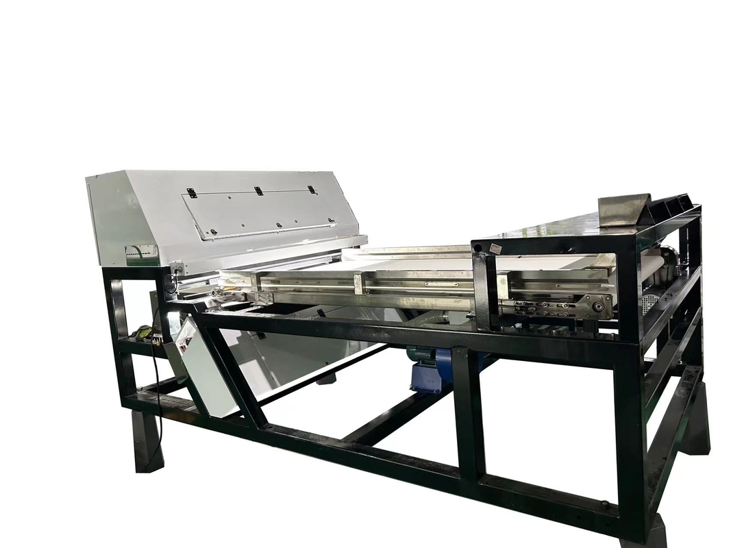 China Kardamom Farbsortiermaschine Gürtel Olivenchilis Optischer Bohnenfarbsorter