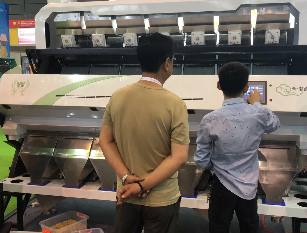 WenYao Farbsortiermaschine mit großer Kapazität Karamom Kümmel Pfefferkerne Farbsortiermaschine