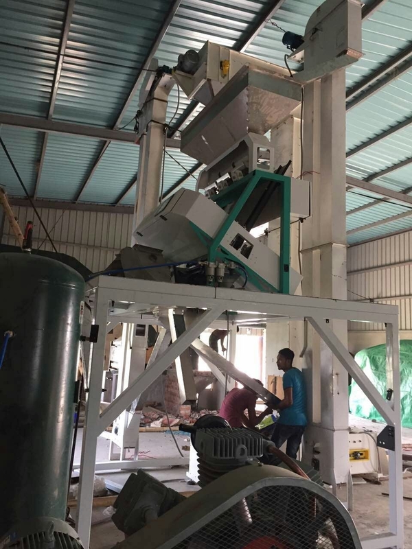 Schälte Knoblauch Erdnuss Farb Sortierer Maschine Optische Sortierer Walnuss Kaffee Kirsch Farb Sortierer Mit WLAN