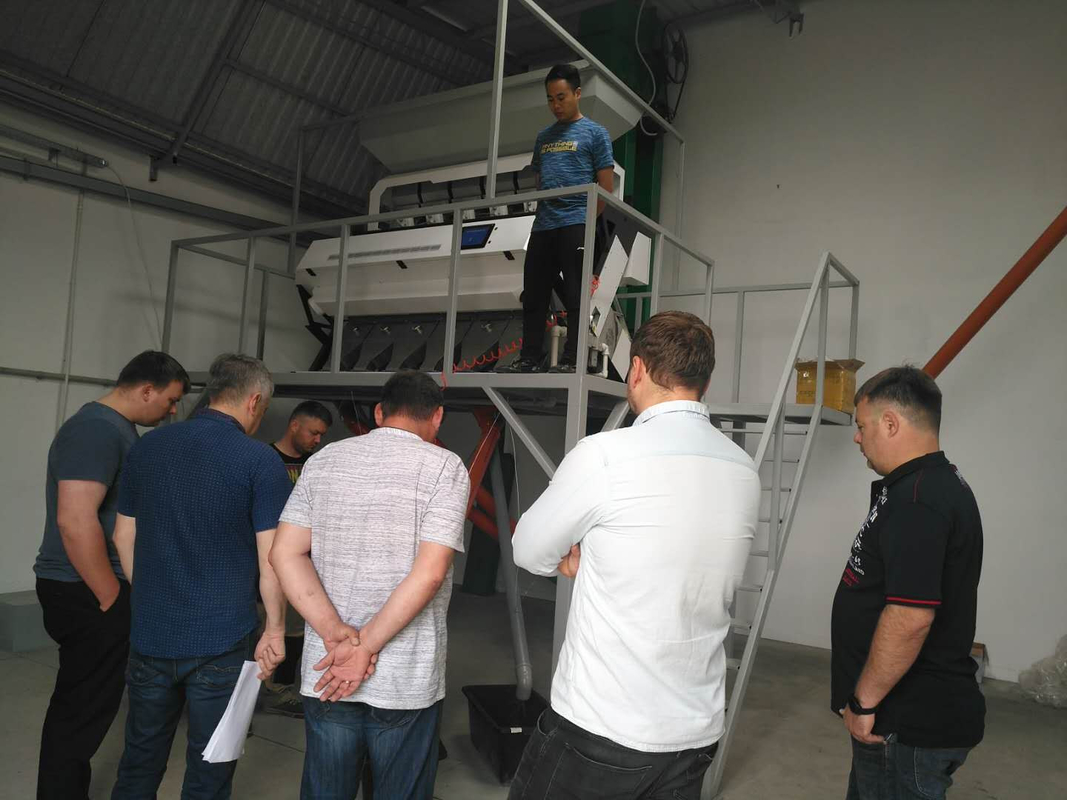 7 Abfälle 442 Kanäle Farbsorter für Bohnen Farbsorter für Chili-Samen Farbsorter
