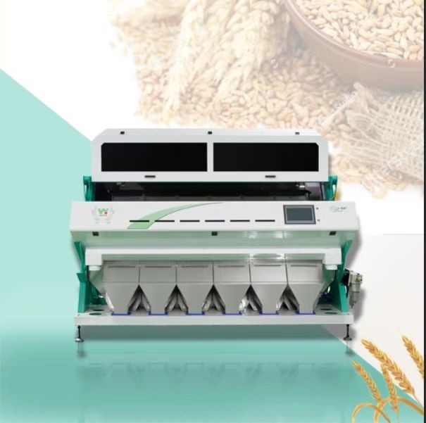 Buchweizen Getreide Optischer Farbsorter Kaffee Reinigung Farbsorter Sortiermaschine Farbsorter Trennung für Weizen Gerste Mais