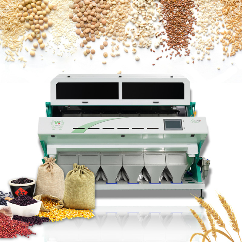 Buchweizen Getreide Optischer Farbsorter Kaffee Reinigung Farbsorter Sortiermaschine Farbsorter Trennung für Weizen Gerste Mais
