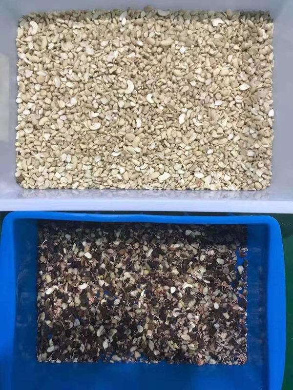 Profi-Nuss-Farbsorter-Maschine Sortiergeräte-Maschine Farbsorter