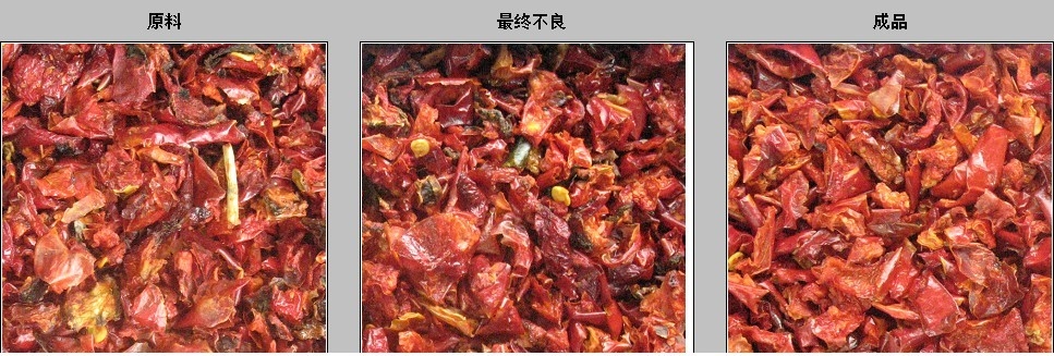 WENYAO Edelstahl 304 Lebensmittel Chili Sorten Trennung Chili Qualitätskontrolle Farbsorter für die Red Chili Sortierung