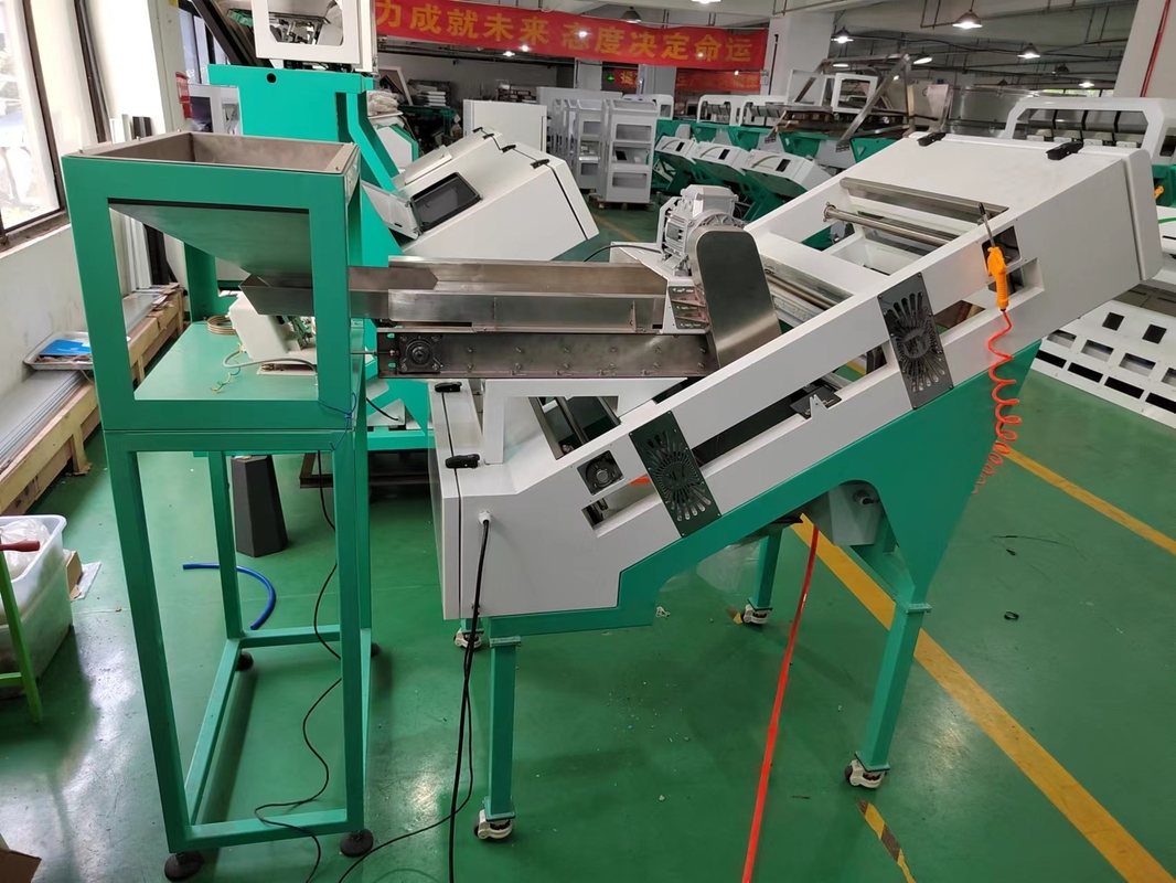 Blueberry Farbsortiermaschine Mini-Gürtel Farbsorter für frisches Obst