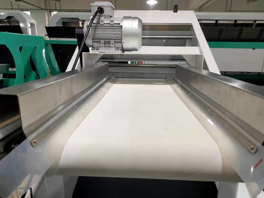 Blueberry Farbsortiermaschine Mini-Gürtel Farbsorter für frisches Obst