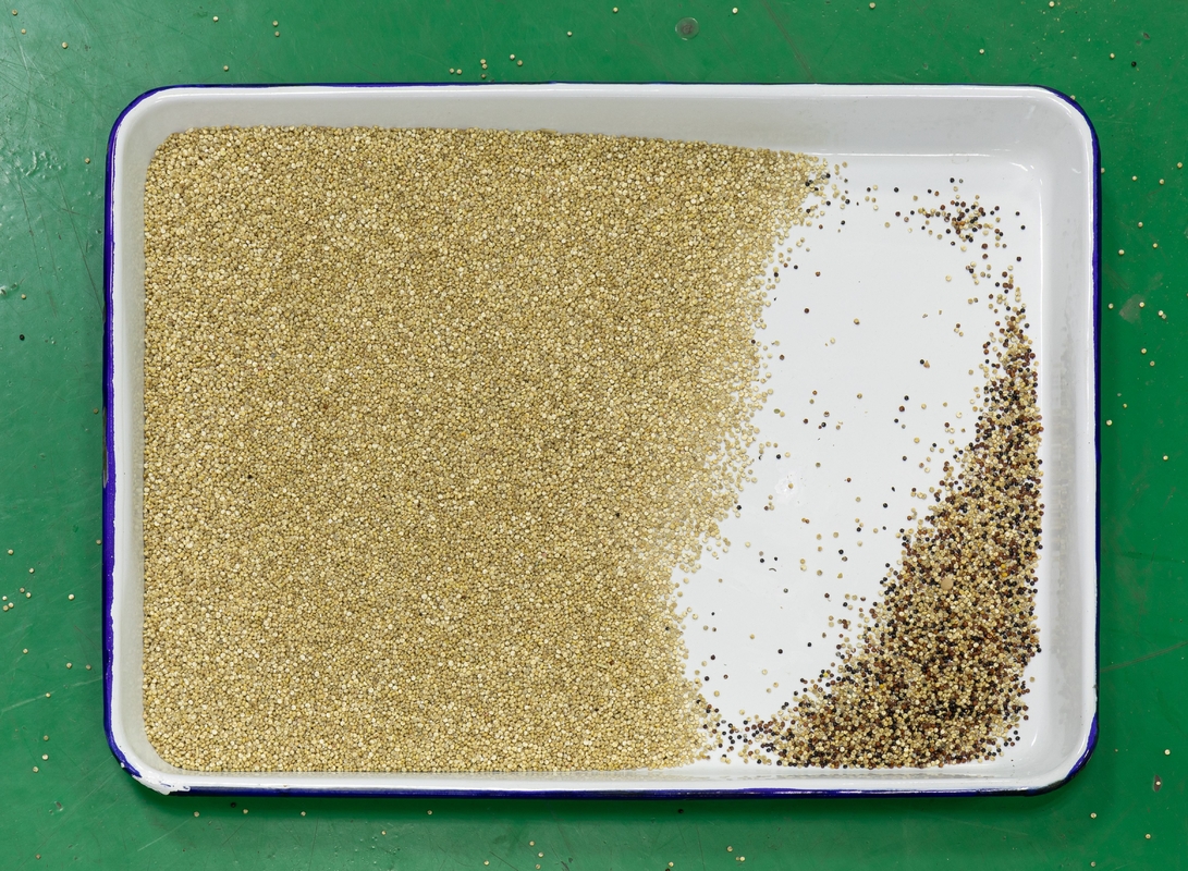 Quinoa-Farbsortiermaschine Intelligenter Farbsorter mit Fernbedienung 2 Jahre Garantie