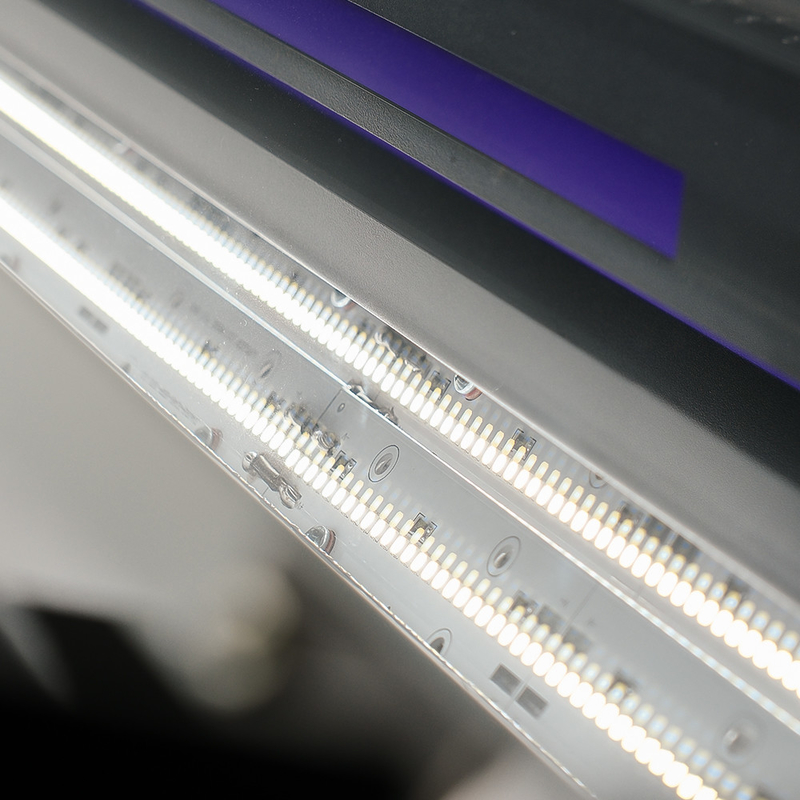 China Professionelle LED Reiskolor Sorter Farb Sortierung Reismühle Maschine