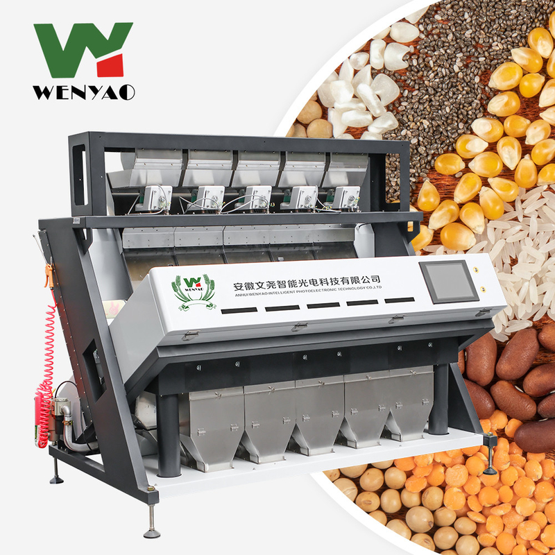 Maschine zur Sortierung von Macadamia-Nüssen mit großer Kapazität