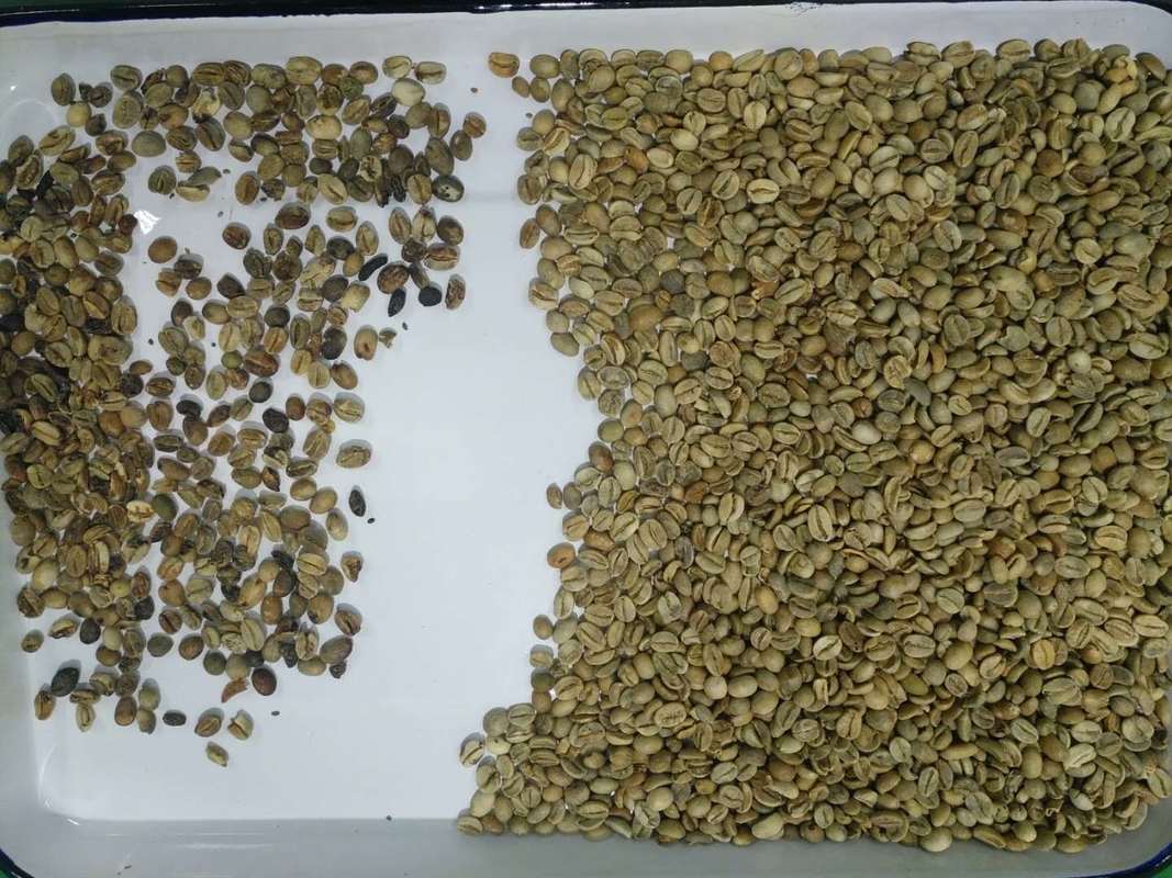 Wenyao 5 Chute Multifunktionsoptische Kaffeebohnenfarb-Sortiermaschine