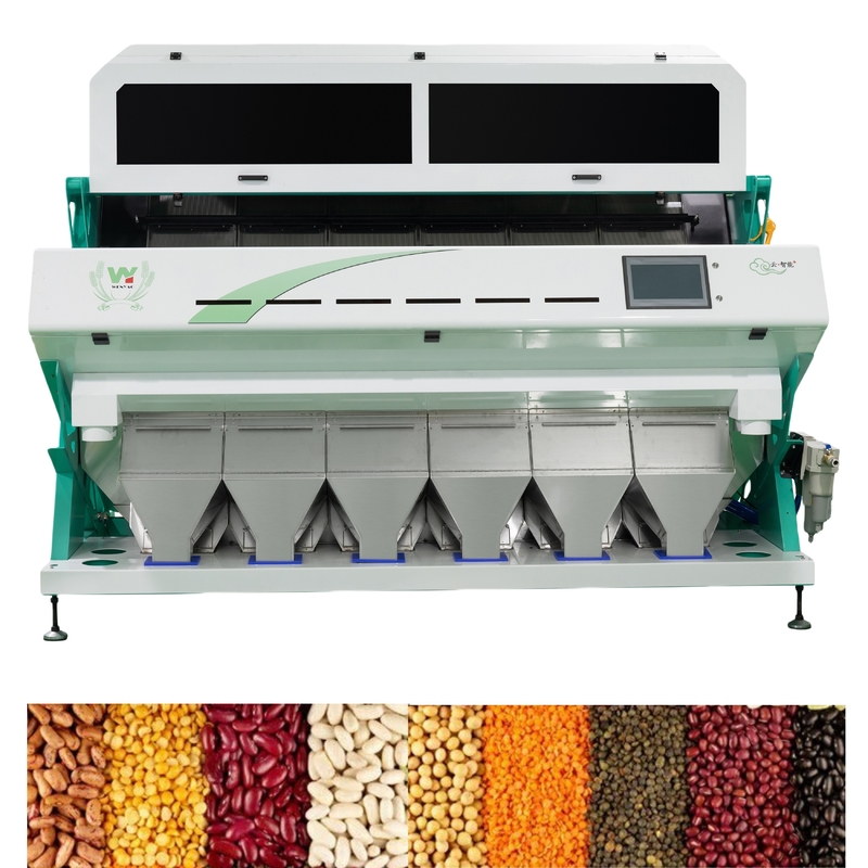 Intelligente CCD-Kamera 6 Chute Nierenbohnen Farbsortiermaschine mit einfacher Bedienung