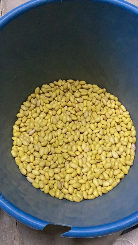 Wenyao Chinese Factory Direktverkauf 4 Chute Sojabohnen Farbsortiermaschine