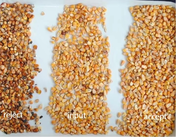 Wenyao 5 Chute Multifunktions Sorghum Mais Mais Weizen Gerste Reis Farb Sortiermaschine