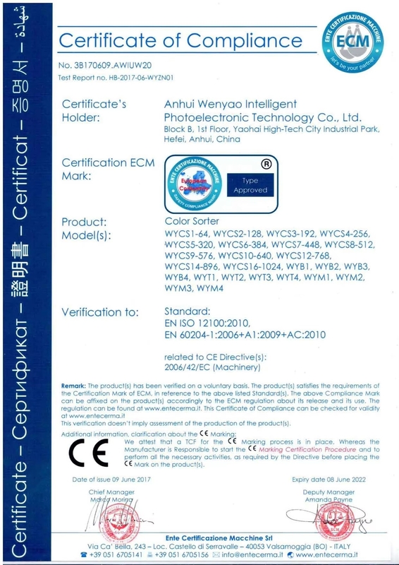 Intelligente 6 Chute Cashew-Nuss Farbsortiermaschine mit Toshiba CCD-Sensor und RGB-Kamera