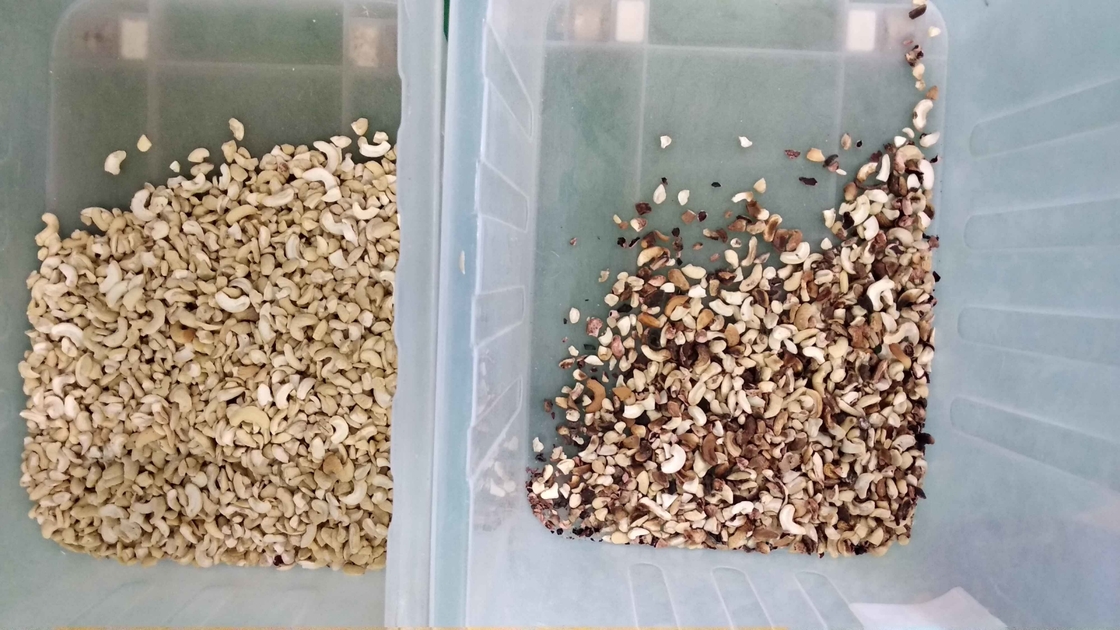 Wenyao Intelligente Schiebe-Stil Nuss Schalen und Kernel Trennmaschine Nuss Farb Sorter Maschine 64 Kanäle
