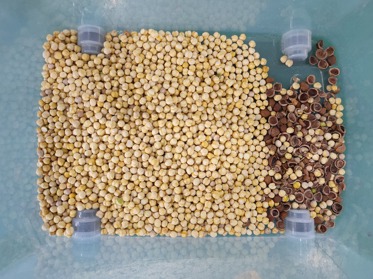 Wenyao Intelligente Schiebe-Stil Nuss Schalen und Kernel Trennmaschine Nuss Farb Sorter Maschine 64 Kanäle