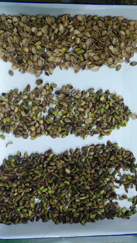 Wenyao Intelligente Schiebe-Stil Nuss Schalen und Kernel Trennmaschine Nuss Farb Sorter Maschine 64 Kanäle