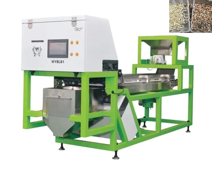 Knoblauchnabel Sortiermaschine Knoblauchfarbsorter für die Lebensmittelverarbeitung