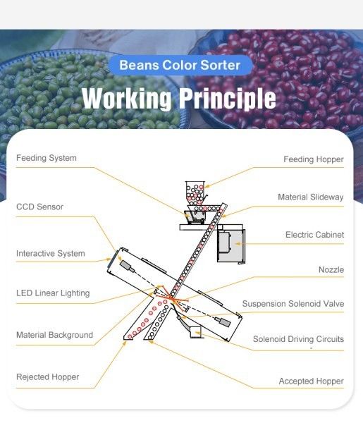 Getreideverarbeitung Reisfarbsortierer Optischer Schachttyp