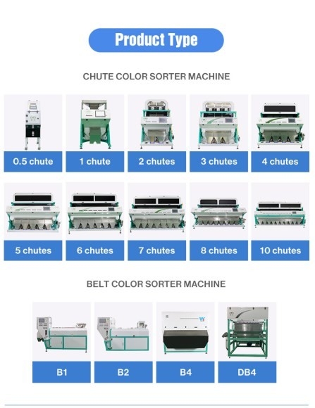 WENYAO Quinoa Getreide Farbsortiermaschine mit CCD-Kamera