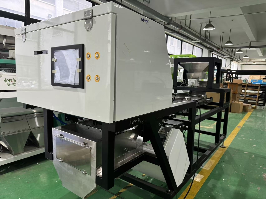 CCD-Kamera Optische Knoblauchfarbsortierung Schälen Knoblauch Entfernen Fleckenmaschine Walnuss Knoblauch Kirsche Kaffee Farb Sortiermaschine mit CE