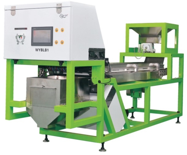 CCD-Kamera Optische Knoblauchfarbsortierung Schälen Knoblauch Entfernen Fleckenmaschine Walnuss Knoblauch Kirsche Kaffee Farb Sortiermaschine mit CE