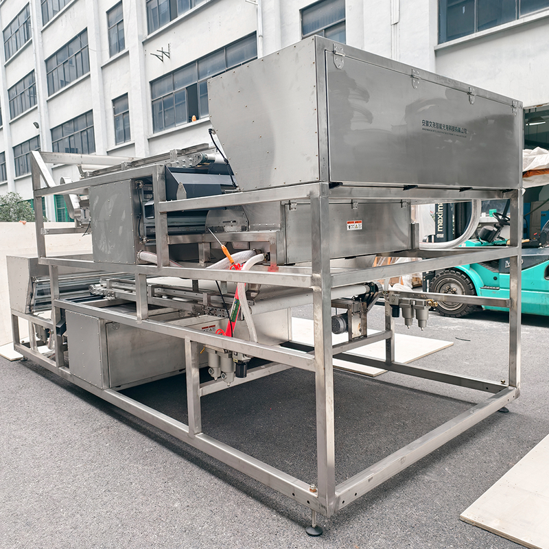 1200mm Band Wasserdichte Edelstahl Juniper Farbsortiermaschine für gefrorene Erdbeeren