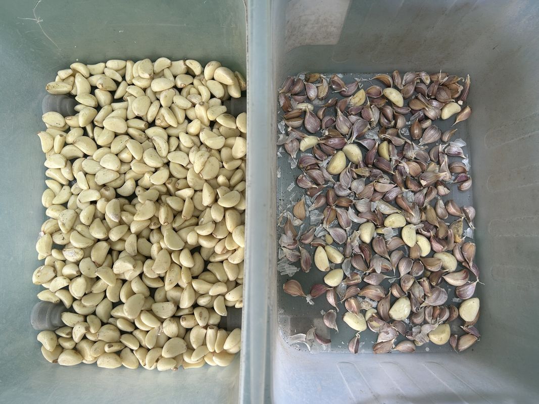 Wenyao Simple Operation Belt Mineral Ore Color Separator Machinery Ore Color Sorter