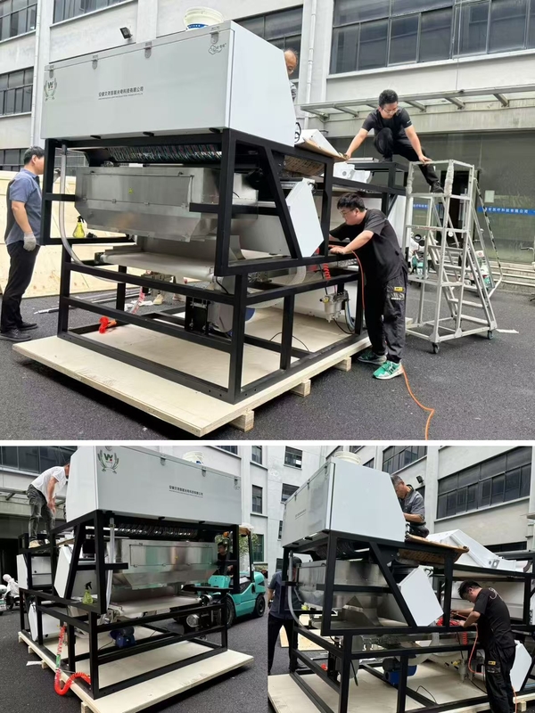 Doppelschichtbrüchige Glasflaschen CCD Farbsorter Glasfarbsorter Sortiermaschine