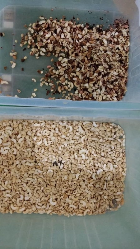 Gürteloptischer Sorter Erdnuss-Kasius-Walnuss-Sortiermaschine zur Farbsortierung für die landwirtschaftliche Verarbeitung mit CCD-Kamera