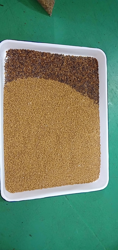 2000Kg/h Peru Quinoa Optical Sorter Vollfarbe CCD Sorter Maschine Sortiermaschine für Andenkörner
