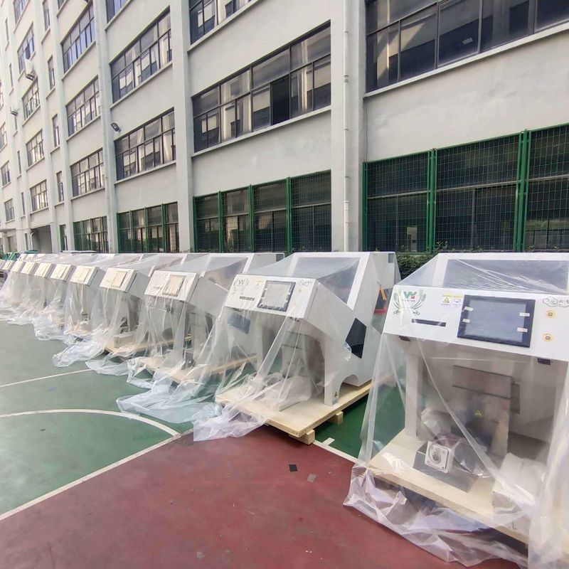 Wenyao 2025 Newest Chinese Factory Optical Ccd Color Sorter Almond Pistachio Cocoa Nut Color Sorting Machine